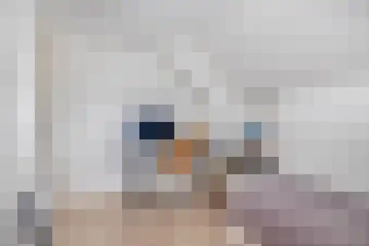 Zijde 75 Boskoop thumbnail 70