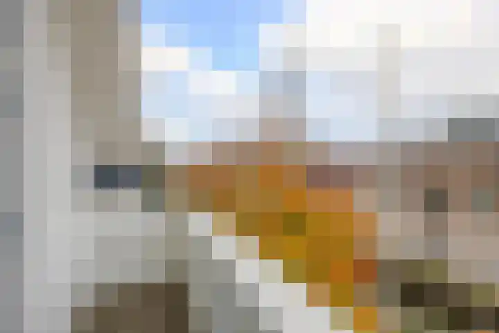 Zijde 75 Boskoop thumbnail 71