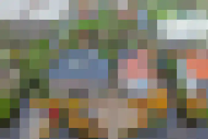 Zijde 75 Boskoop thumbnail 73