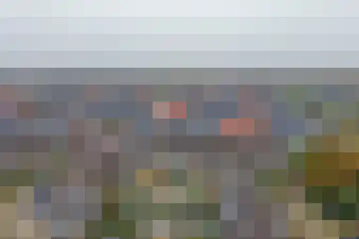 Zijde 75 Boskoop thumbnail 75
