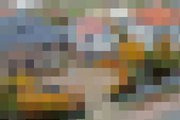 Zijde 75 Boskoop thumbnail 77