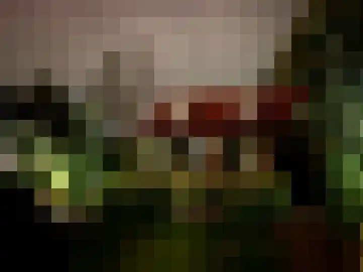 Zijde 75 Boskoop thumbnail 80