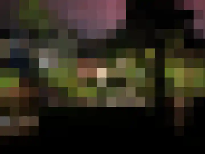 Zijde 75 Boskoop thumbnail 81