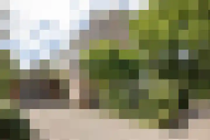 Zijdemos 6 dans Veenendaal