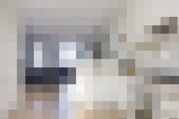 Zijdestraat 32 Borne thumbnail 14