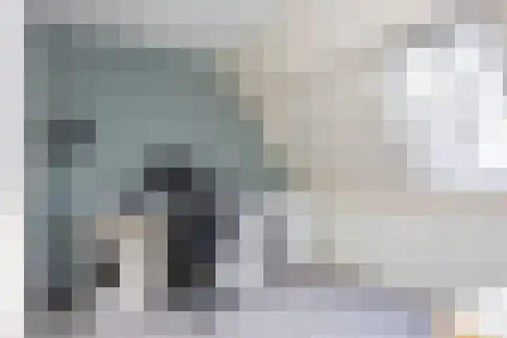Zijdestraat 32 Borne thumbnail 22