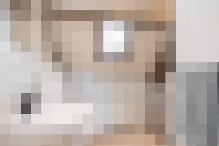 Zijdestraat 32 Borne thumbnail 23