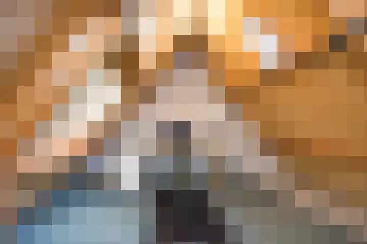 Zijdestraat 32 Borne thumbnail 25