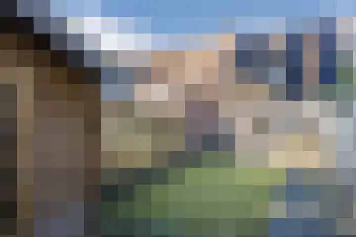 Zijdestraat 32 Borne thumbnail 29