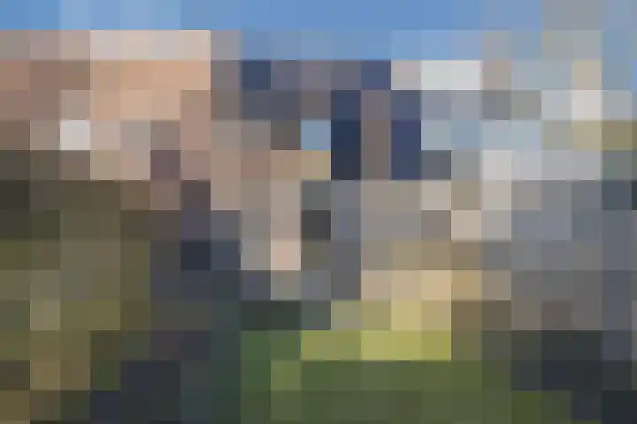 Zijdestraat 32 Borne thumbnail 6