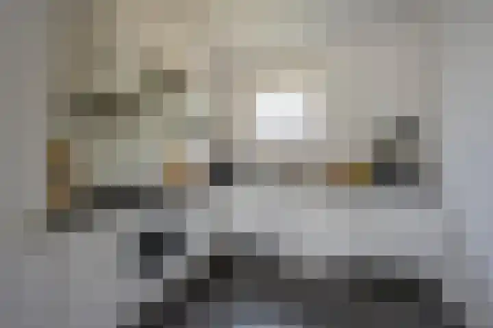 Zijdevlinder 94 Nijkerk thumbnail 10