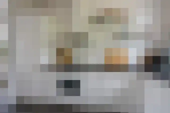 Zijdevlinder 94 Nijkerk thumbnail 11