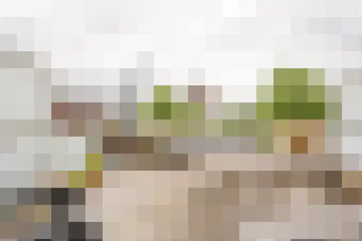 Zijdevlinder 94 Nijkerk thumbnail 12