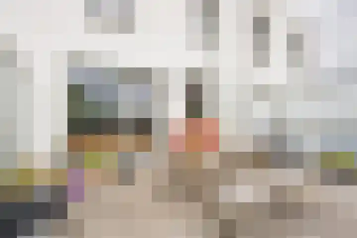 Zijdevlinder 94 Nijkerk thumbnail 14