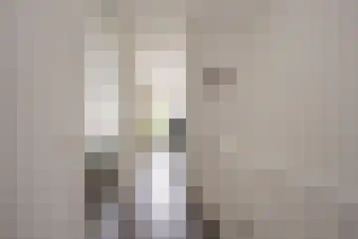 Zijdevlinder 94 Nijkerk thumbnail 16