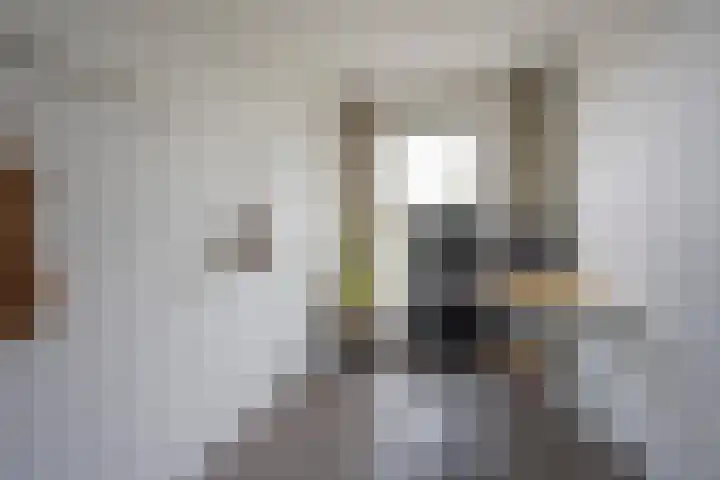 Zijdevlinder 94 Nijkerk thumbnail 17