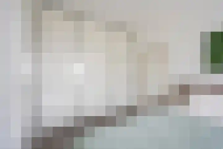 Zijdevlinder 94 Nijkerk thumbnail 21