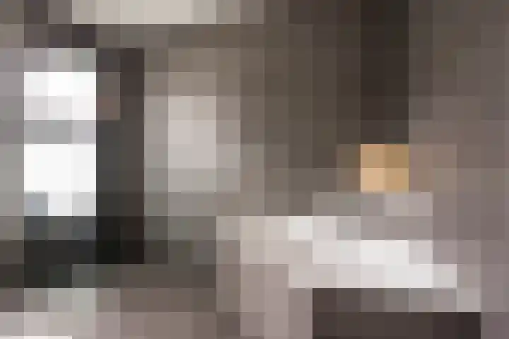 Zijdevlinder 94 Nijkerk thumbnail 22