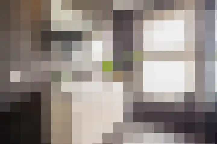 Zijdevlinder 94 Nijkerk thumbnail 23