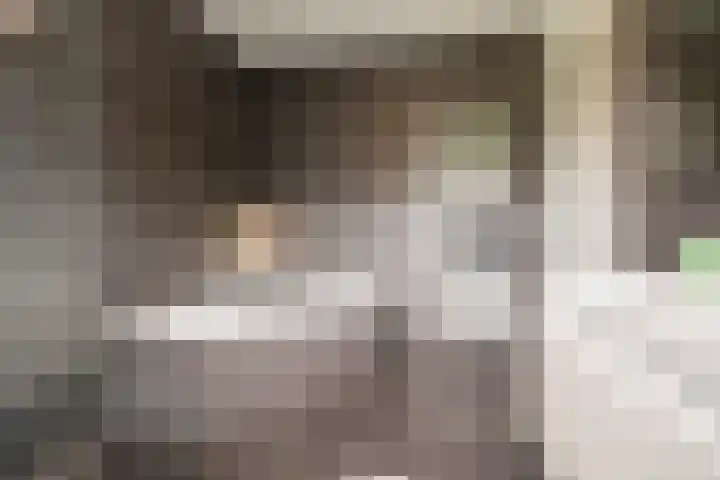 Zijdevlinder 94 Nijkerk thumbnail 24
