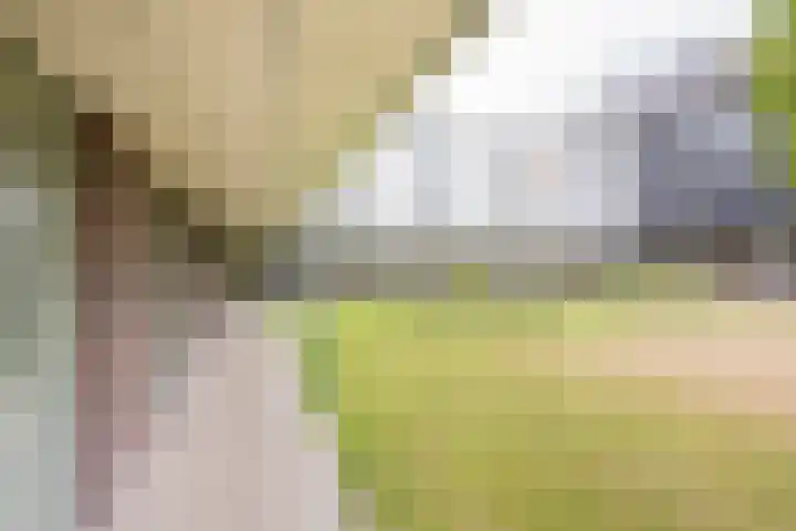 Zijdevlinder 94 Nijkerk thumbnail 30