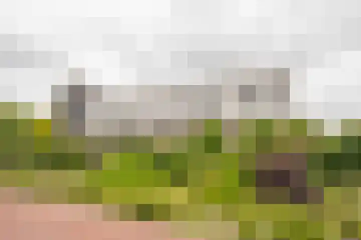 Zijdevlinder 94 Nijkerk thumbnail 32