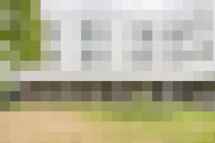 Zijdevlinder 94 Nijkerk thumbnail 34