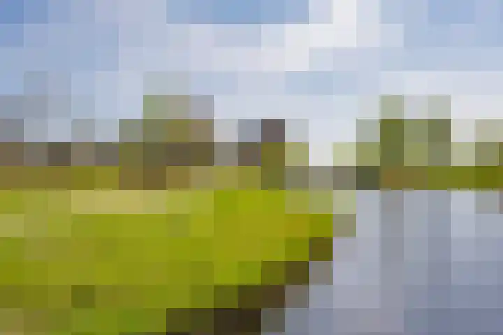 Zijdevlinder 94 Nijkerk thumbnail 36