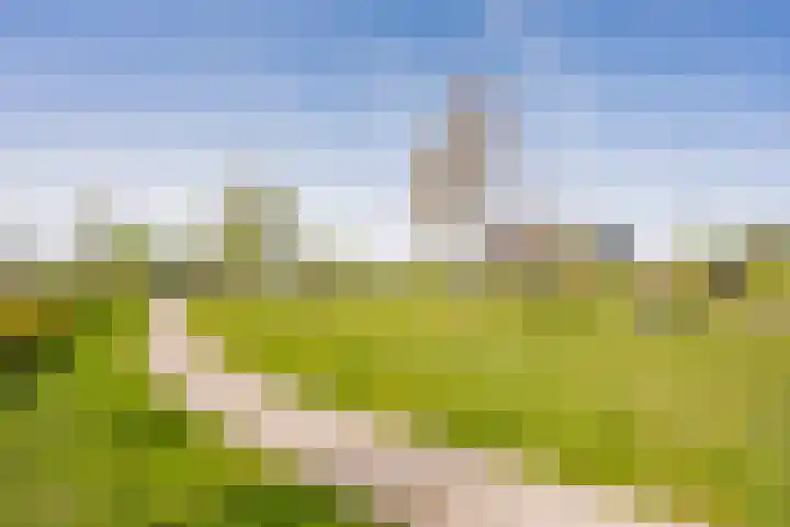Zijdevlinder 94 Nijkerk thumbnail 37