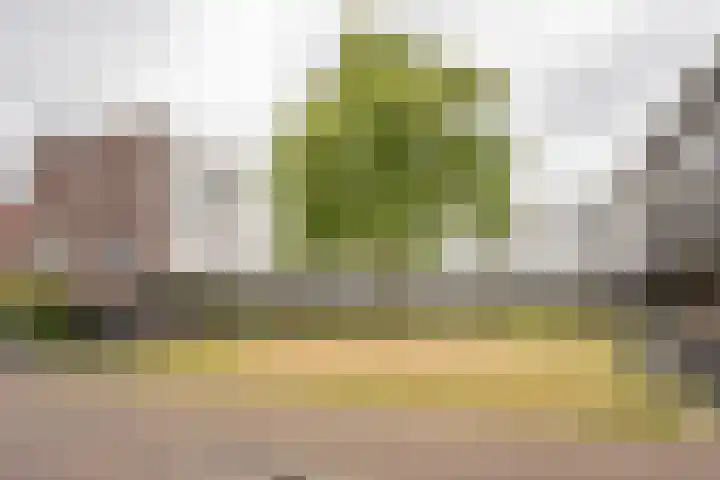 Zijdevlinder 94 Nijkerk thumbnail 41