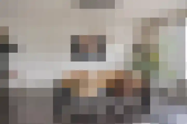 Zijdevlinder 94 Nijkerk thumbnail 7