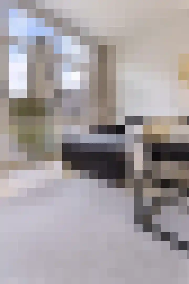 Zijl 10 D Rotterdam thumbnail 11