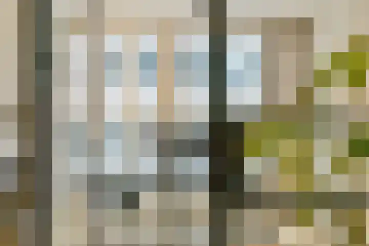 Zijl 10 D Rotterdam thumbnail 15