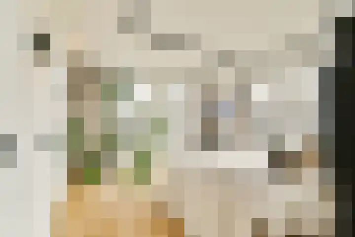 Zijl 10 D Rotterdam thumbnail 31