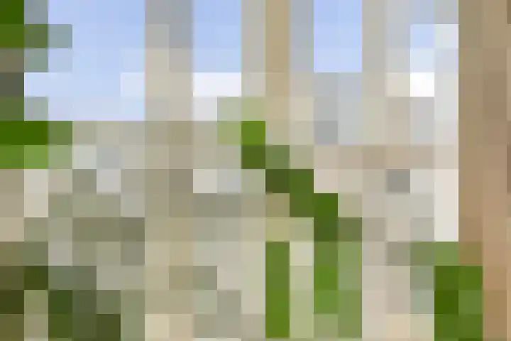 Zijl 10 D Rotterdam thumbnail 32