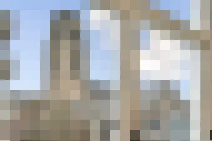Zijl 10 D Rotterdam thumbnail 8