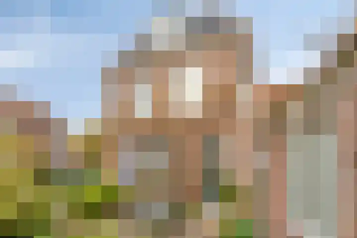 Zijlsingel 73 Leiden thumbnail 41
