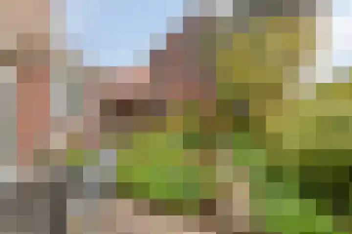 Zijlsingel 73 Leiden thumbnail 42