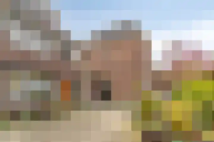 Zijlsingel 73 Leiden thumbnail 5