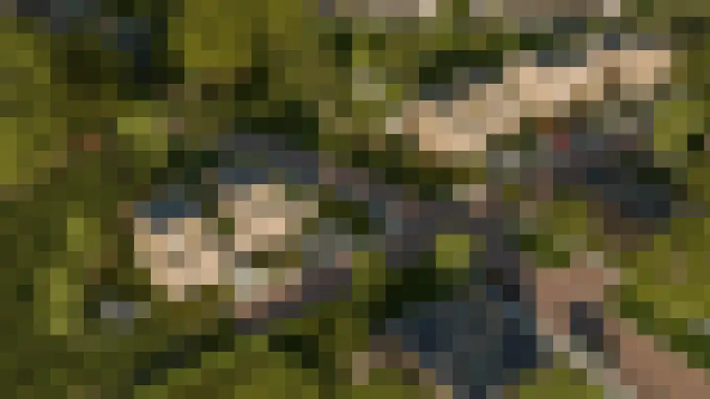 Zijp 6 Boekel