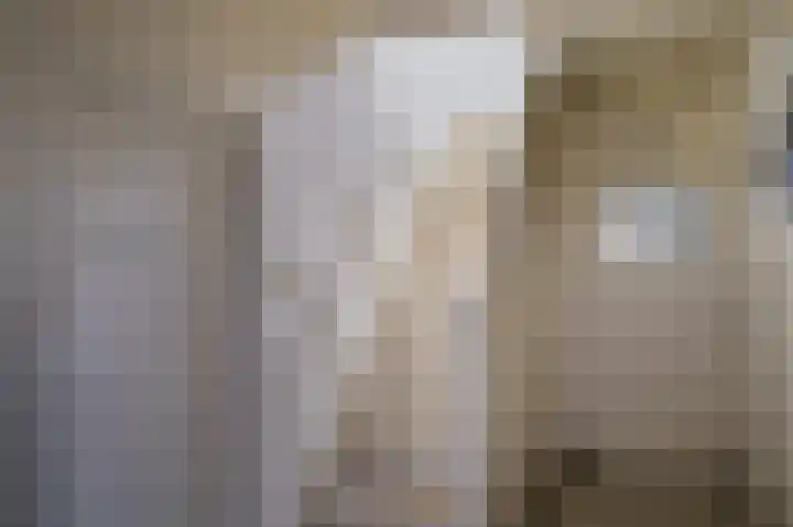 Zijpe 3 Bruinisse thumbnail 15