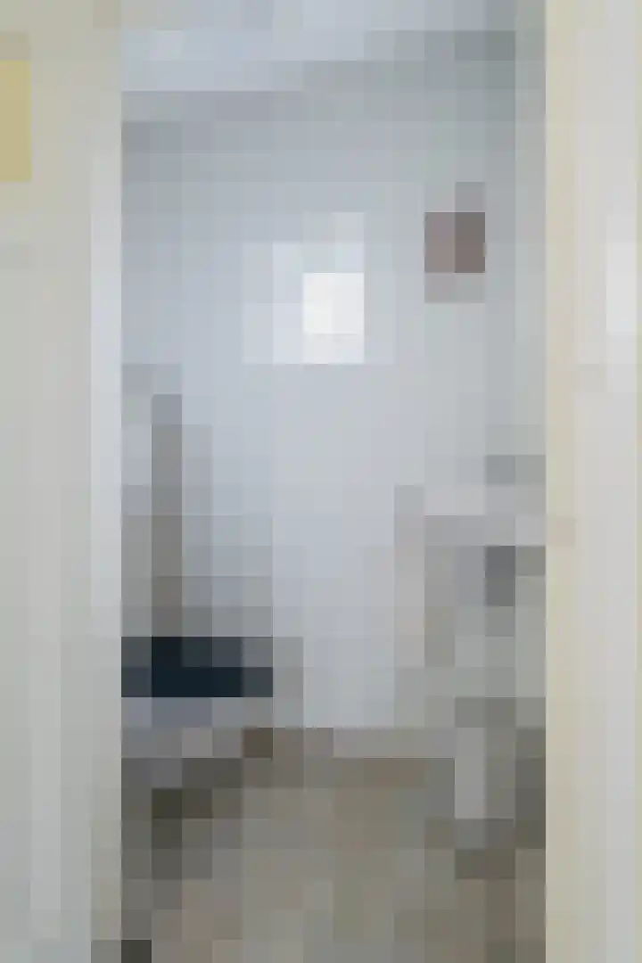 Zijpe 3 Bruinisse thumbnail 16