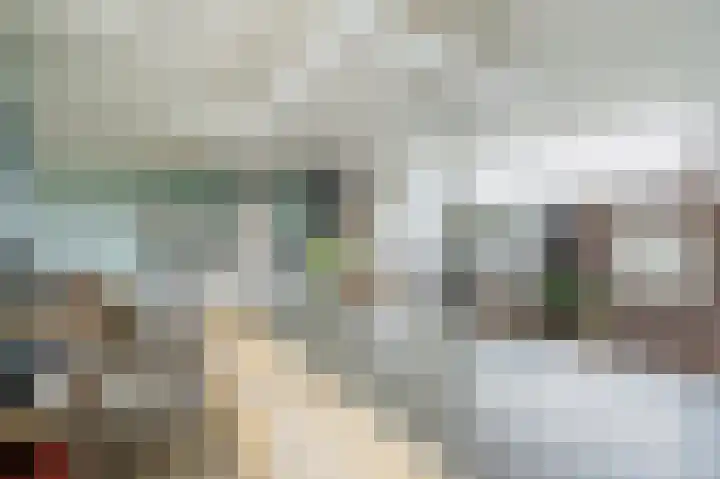 Zijpe 3 Bruinisse thumbnail 22