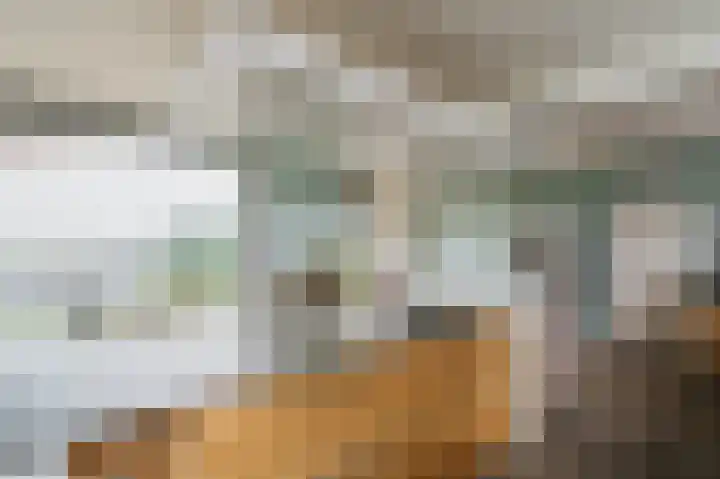 Zijpe 3 Bruinisse thumbnail 28