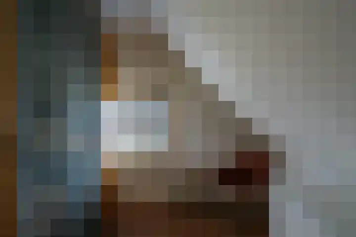 Zijpe 3 Bruinisse thumbnail 40