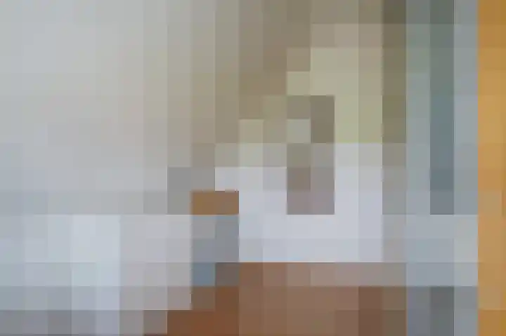 Zijpe 3 Bruinisse thumbnail 41