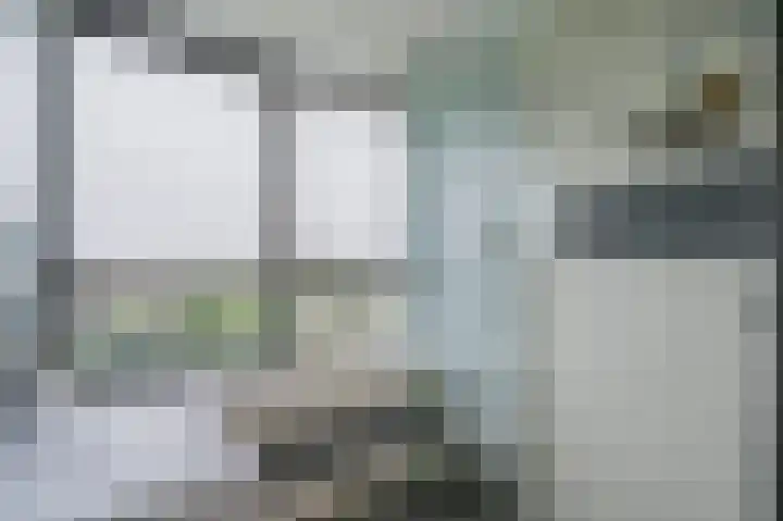 Zijpe 3 Bruinisse thumbnail 42