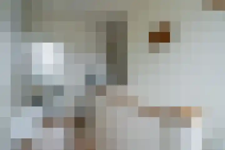 Zijpe 3 Bruinisse thumbnail 45