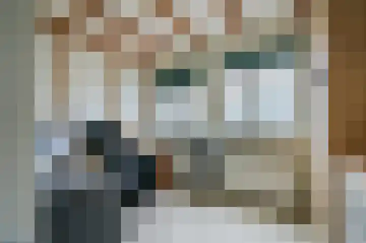 Zijpe 3 Bruinisse thumbnail 50