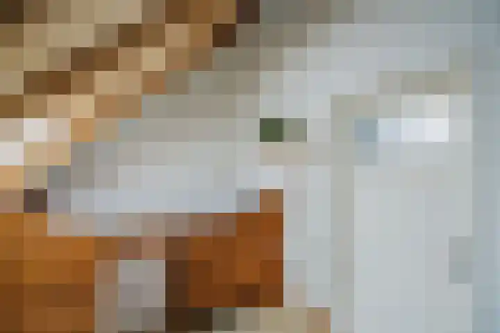 Zijpe 3 Bruinisse thumbnail 56